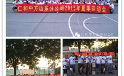 ������� ������� –�ǽ����ɽ��ʡ��2015�������˶���