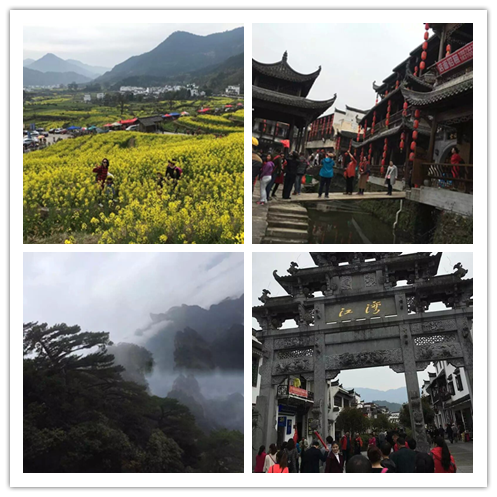 金年会|金年会官网·jinnian(金字招牌)诚信至上