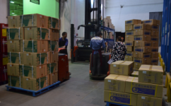 ���ֶ��� �������ҹ��ս�������ƴ�ս