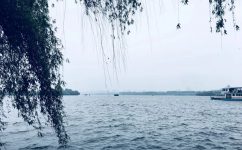 ��������  �����ʺ�