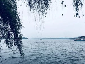 ��������  �����ʺ�