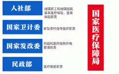 ҽ������ʽ���ƣ�������ҽҩ���������������б���Ƴ��������㸲���ý��ޱ�