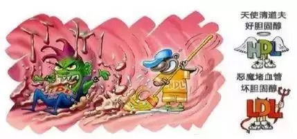 �����|����������jinnian(��������)��������