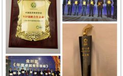 �����|����������jinnian(��������)��������