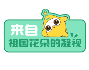 �����|����������jinnian(��������)��������