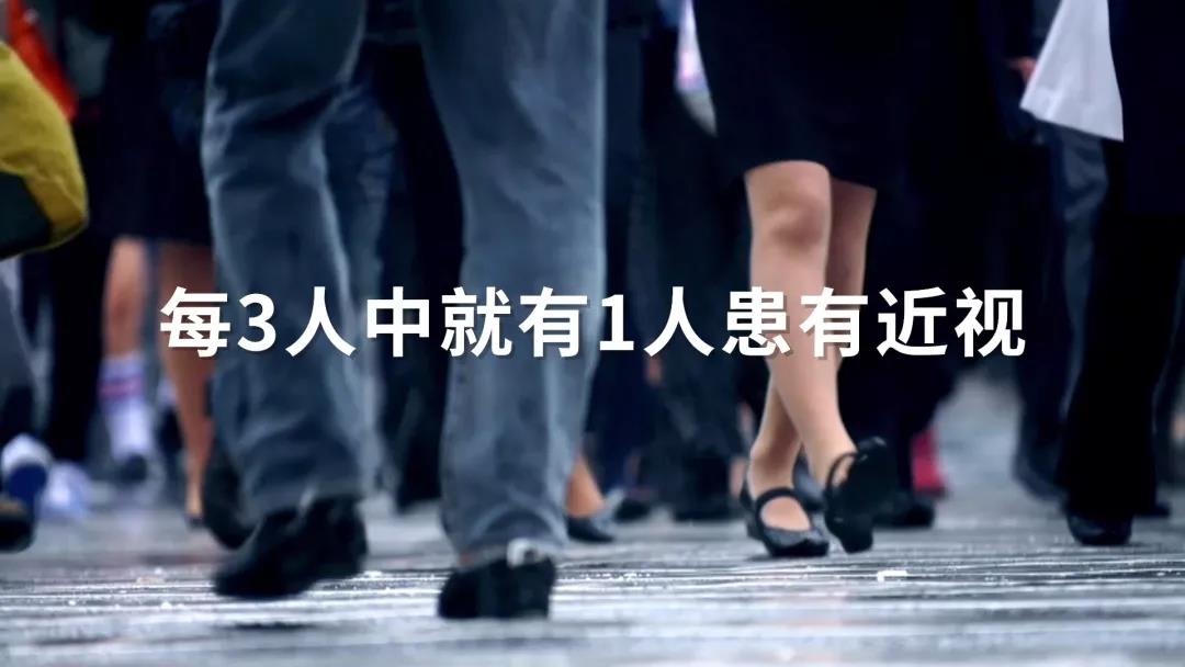 �����|����������jinnian(��������)��������